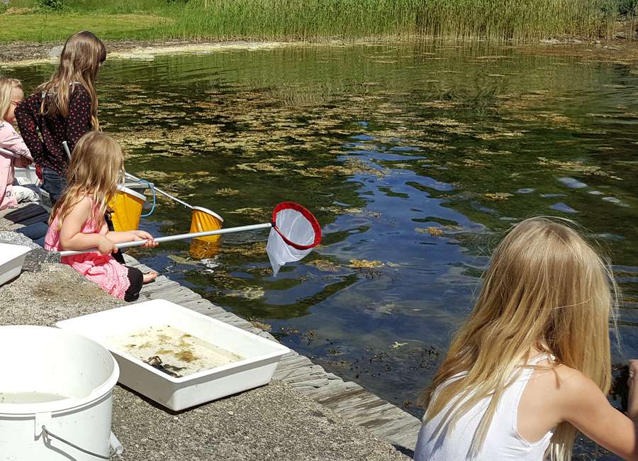 Kids raking fish and plants